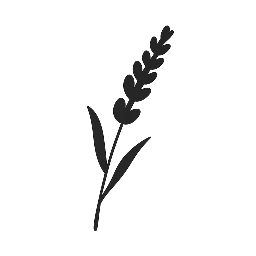 StarBalt — AI‑платформа Atomy, лаванды и системного дохода